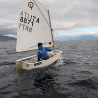 Barca a vela Optimist winner