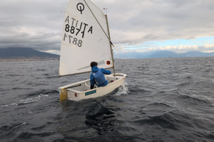 Barca a vela Optimist winner