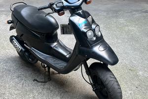 scooter peugeot squab