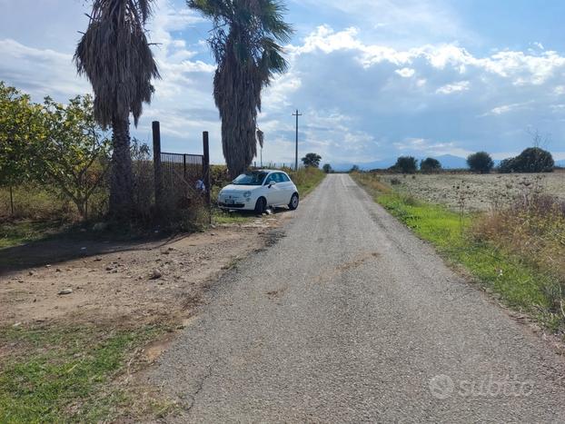 Terreno agricolo soleminis