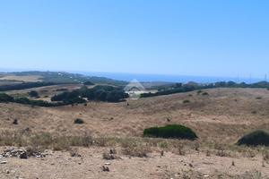 TER. AGRICOLO A SASSARI