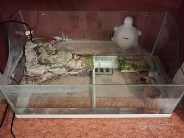 Teca per tartaruga d'acqua