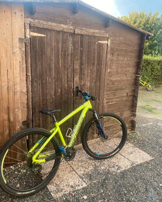 ROCKRIDER ST 520