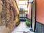 Immagine 29