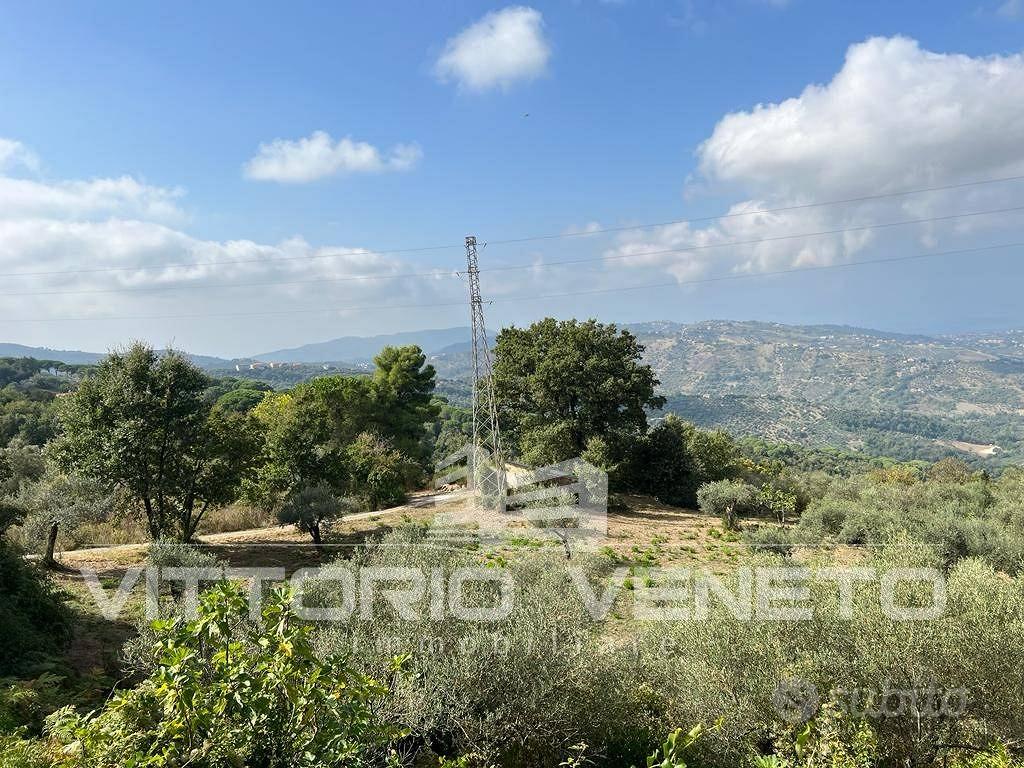 Terreno di 15903 m² a Laureana Cilento - Vista 3