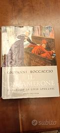 IL DECAMERONE Boccaccio Libro illustrato Ed curcio