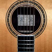 Larrivee D10 Grifone