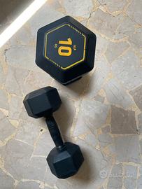 Coppia manubri esagonali 10 kg