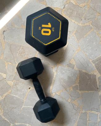 Coppia manubri esagonali 10 kg