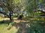 Immagine 27
