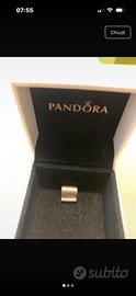 Charm Pandora