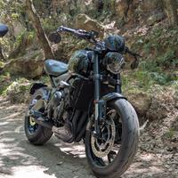 Triumph Trident 660 2022 9100km