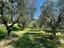 Immagine 15