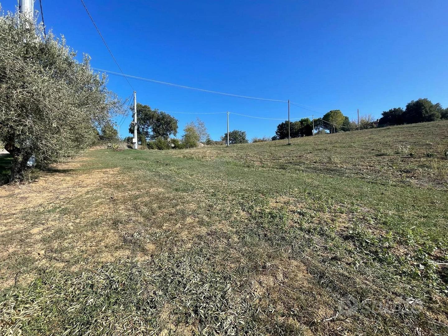 TERRENO AGRICOLO - Vista 5