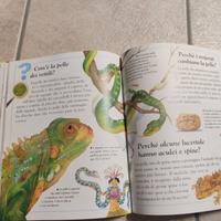 Libro per bambini. Come? Dove? Perché?