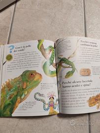 Libro per bambini. Come? Dove? Perché?