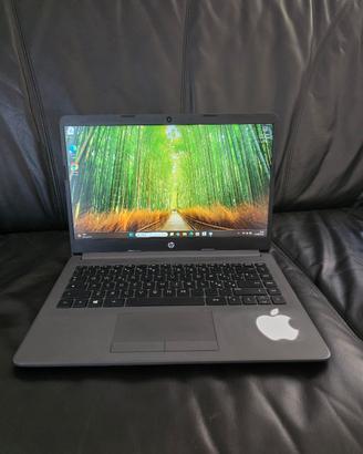 Hp I5 10th 8gb ssd