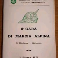 Associazione Nazionale Alpini Di Castellamonte 