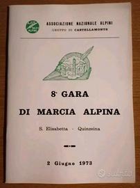 Associazione Nazionale Alpini Di Castellamonte 