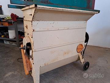 Diraspatrice carolla