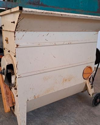 Diraspatrice carolla