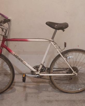 bicicletta mountain bike anni 90