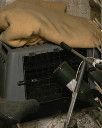 trasportino per cani taglia media 