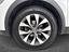 Immagine 8
