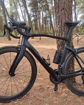 PINARELLO DOGMA F 2024 RIM