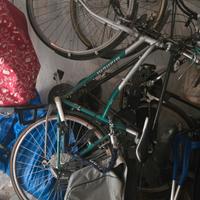 bici spillo bianchi verde e grigia