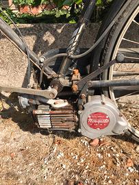Motore moto garelli 38B su bicicletta