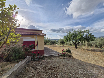 Casa in campagna a Naro