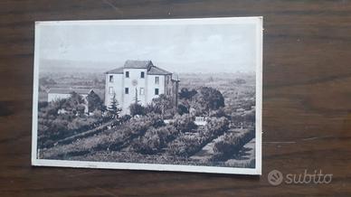 cartoline 