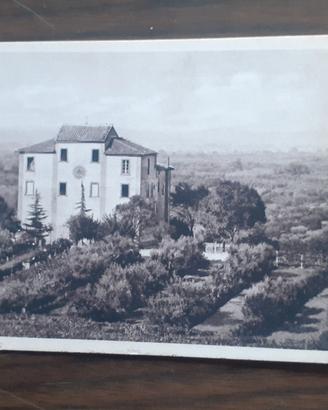 cartoline 