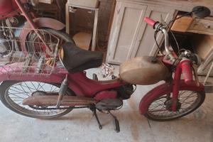 Moto Guzzi dingo - Anni 60