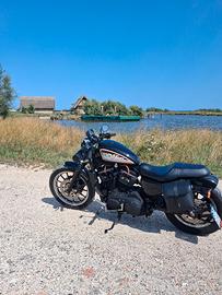 Harley Davidson 883XLR