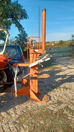 Spacca legna giardino 