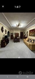 Appartamento Nettuno Cretarossa