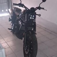Honda CL500A - 2023