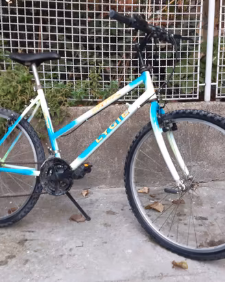 Mountain bike Lygie