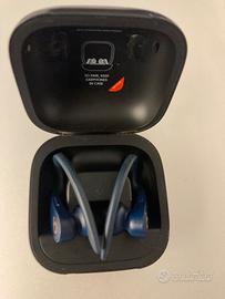 cuffie wireless Powerbeats Pro True Wireless 