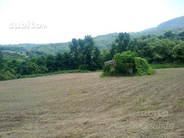 Si vende Terreno agricolo con rudere in San Fele - Vista 3