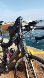 Bici da corsa Wilier gtr in carbonio 