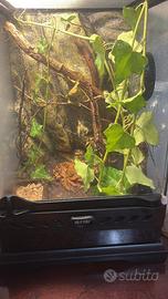 terrario exo terra