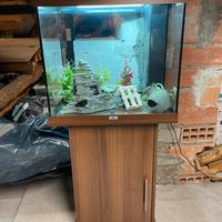 Acquario Juwel Lido 120 l + Acquario da 60 l