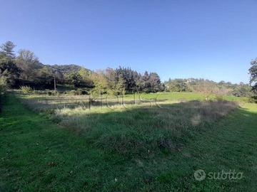 Terreno di 2867 m² a Montone