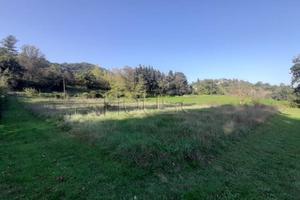 Terreno di 2867 m² a Montone