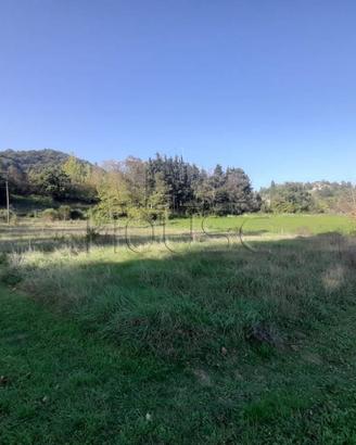 Terreno di 2867 m² a Montone