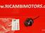 Immagine 20