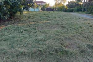 Terreno edificabile Maserada sul Piave